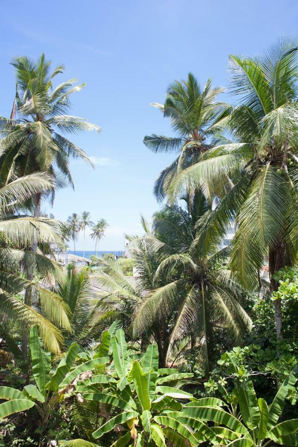 Alvas House Hotel Hikkaduwa Luaran gambar